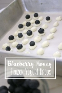 Blueberry Honey Frozen Yogurt Drops // Life Anchored #toddlersnack